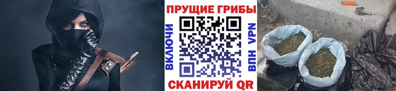 Псилоцибиновые грибы мицелий  МЕГА   Фрязино 